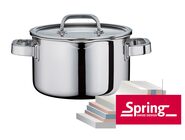 Spring Finesse2+ kookpan kopen? | OnlinePannen.nl