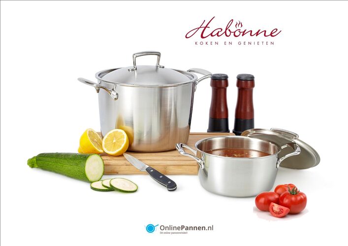 Habonne Queen steelpan 16 cm