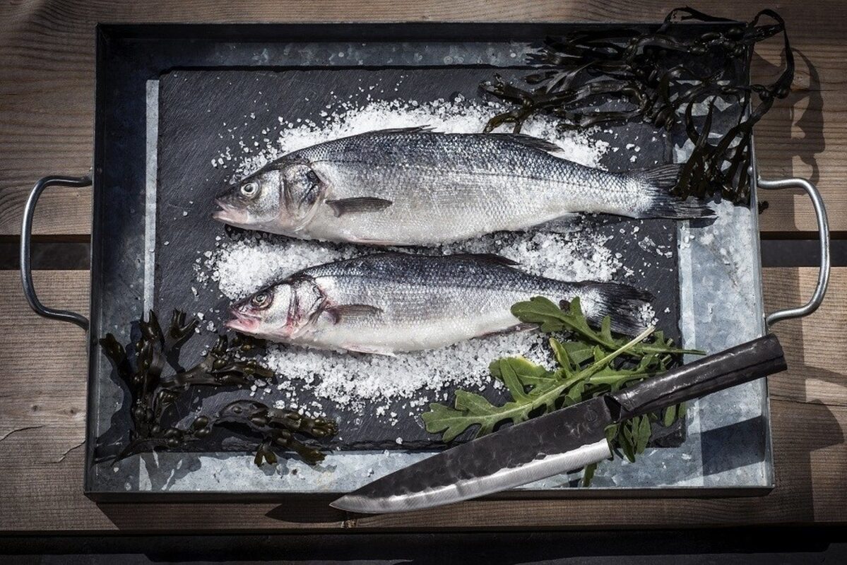 Japanse messen onderhoud